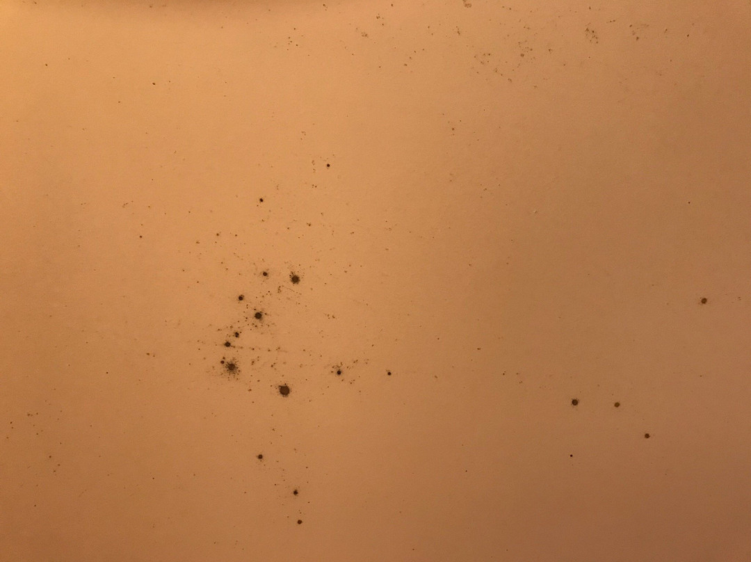 民都鲁园市艾佛利酒店主图