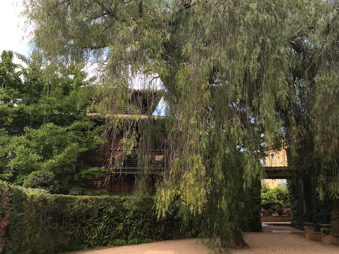 马斯拉博埃亚酒店主图