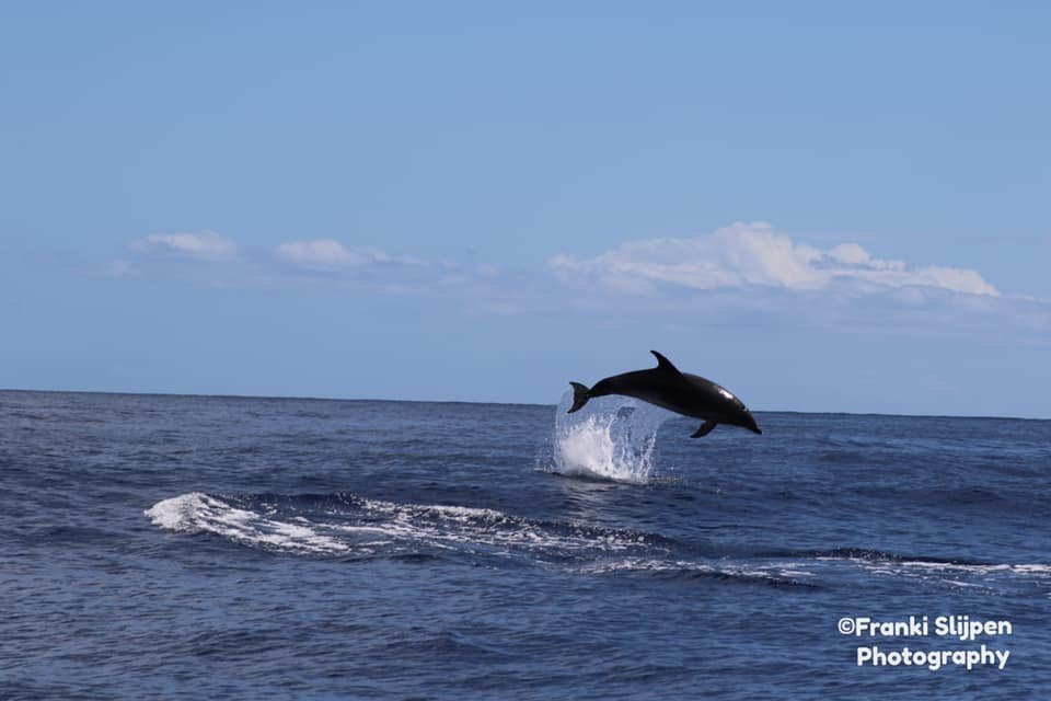 Calheta Touristic Promotions景点图片