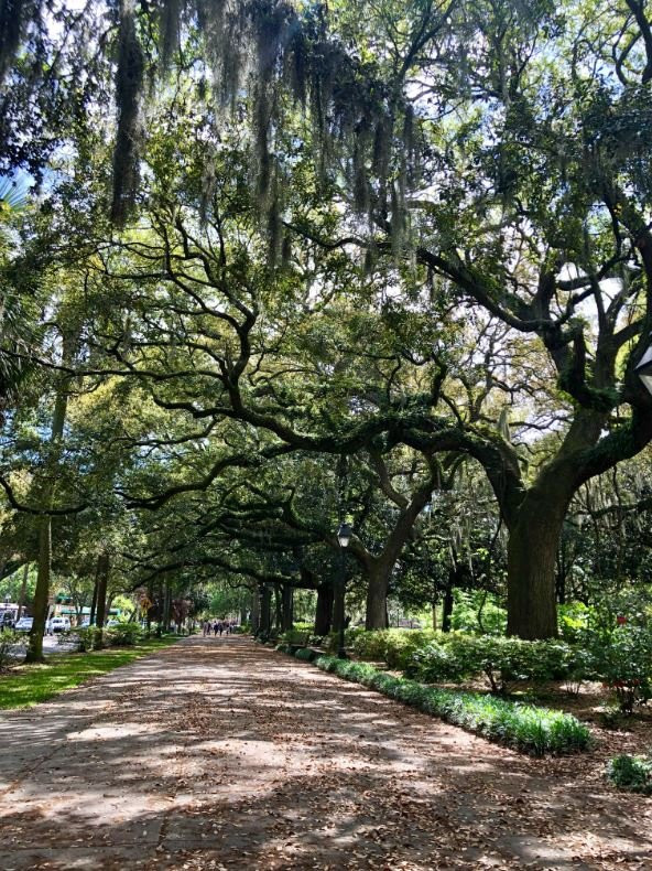 福赛思公园-萨凡纳必去景点