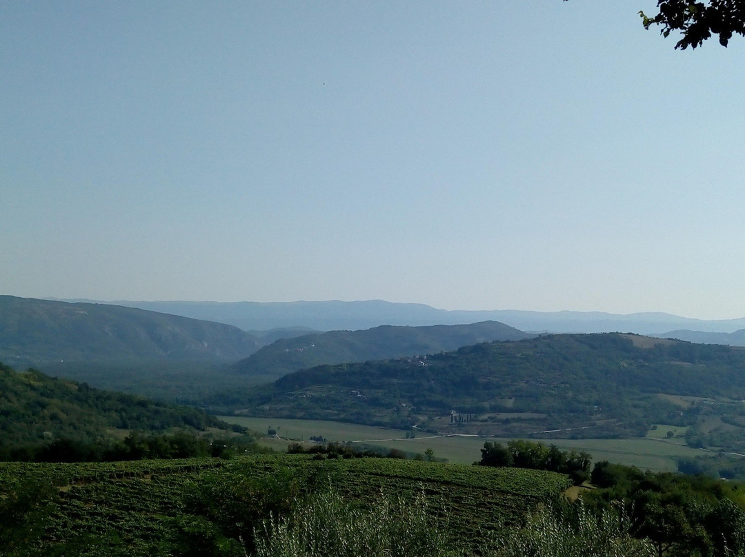 Montona Tours - Rent a Bike Point Motovun-Motovun必去景点
