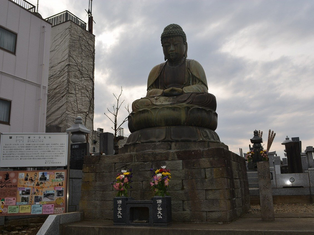 The Great Buddha of Kamagaya景点图片
