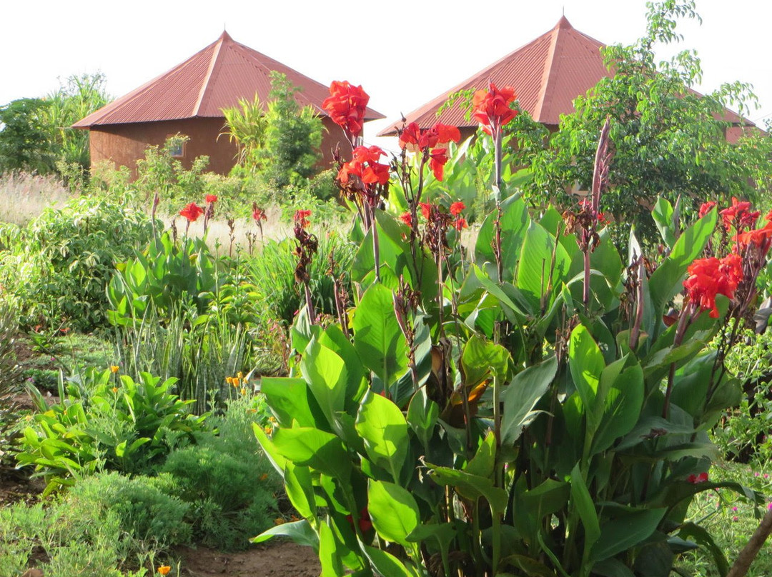 布格塞拉小屋酒店主图