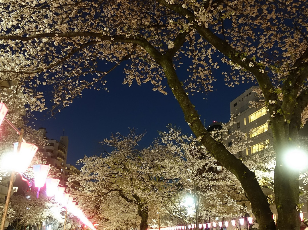 Harimazaka (Harima Slope)-文京区必去景点