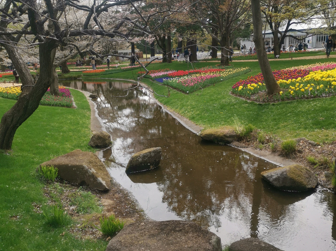 Showa Park景点图片