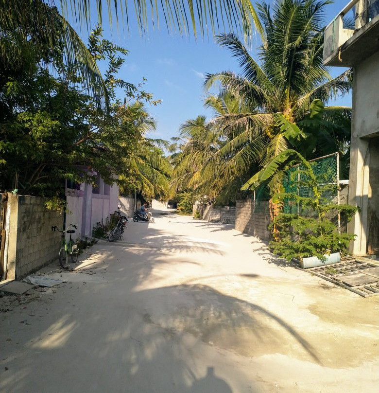 Maamigili旅游攻略图片