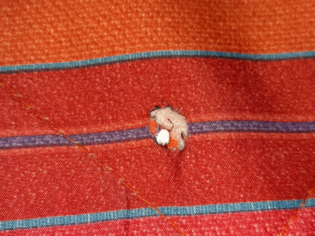 Premiere Classe Angers Ouest - Beaucouze主图