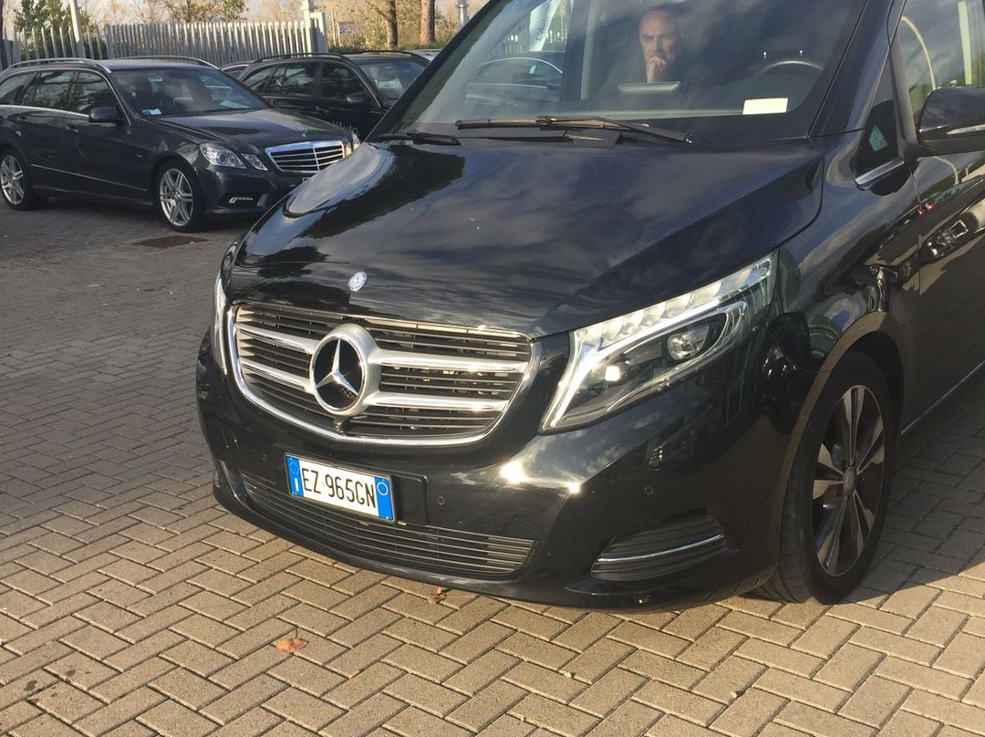 MIPA Travel Fiumicino Shuttle&Cab-罗马必去景点