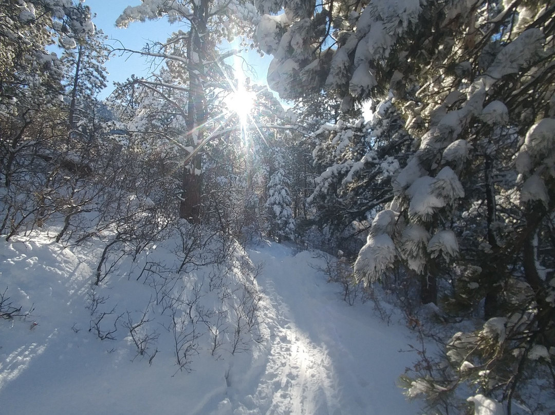 Spruce Mountain Open Space and Trail-罗克堡必去景点