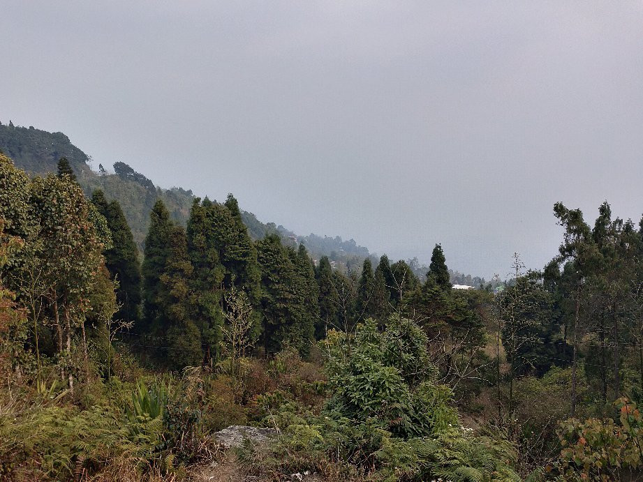 Delo Park-噶伦堡必去景点