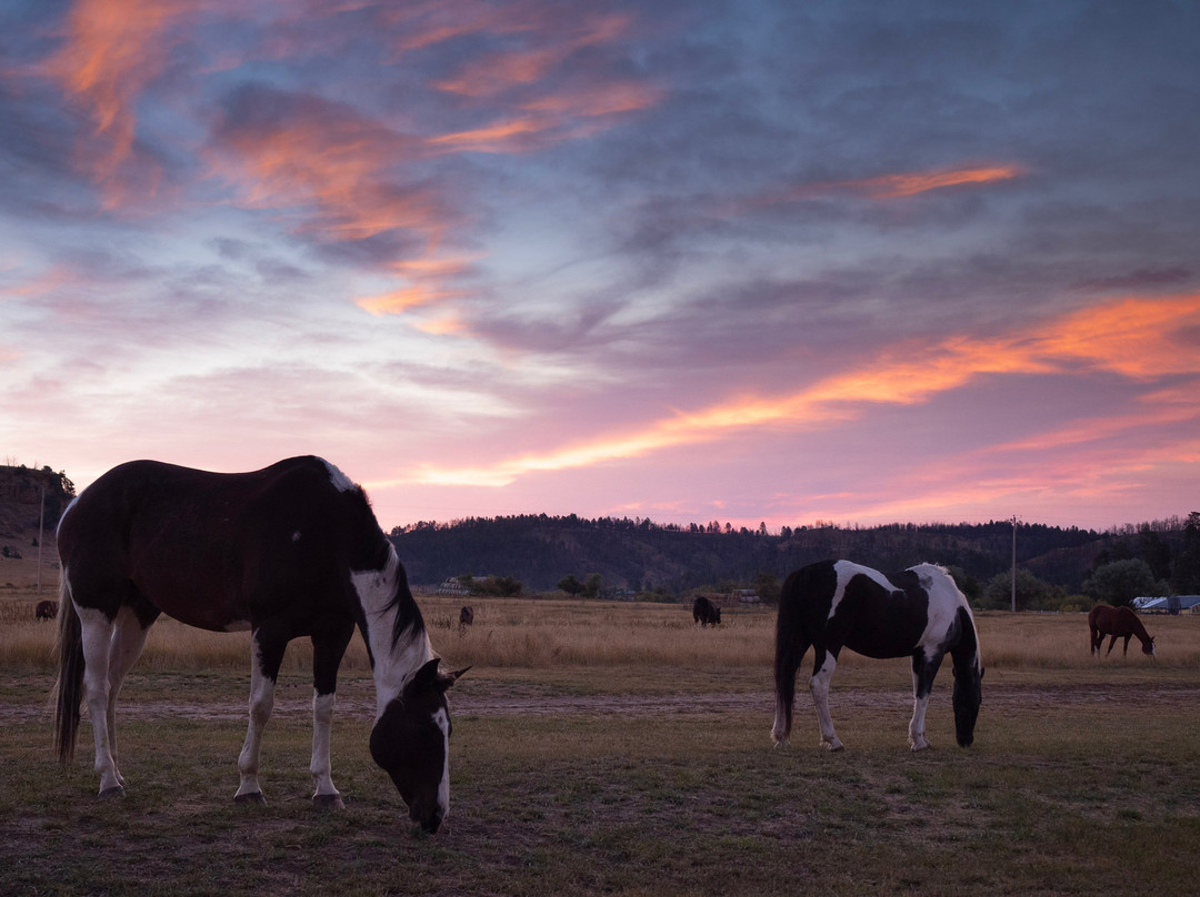 Kara Creek Ranch
