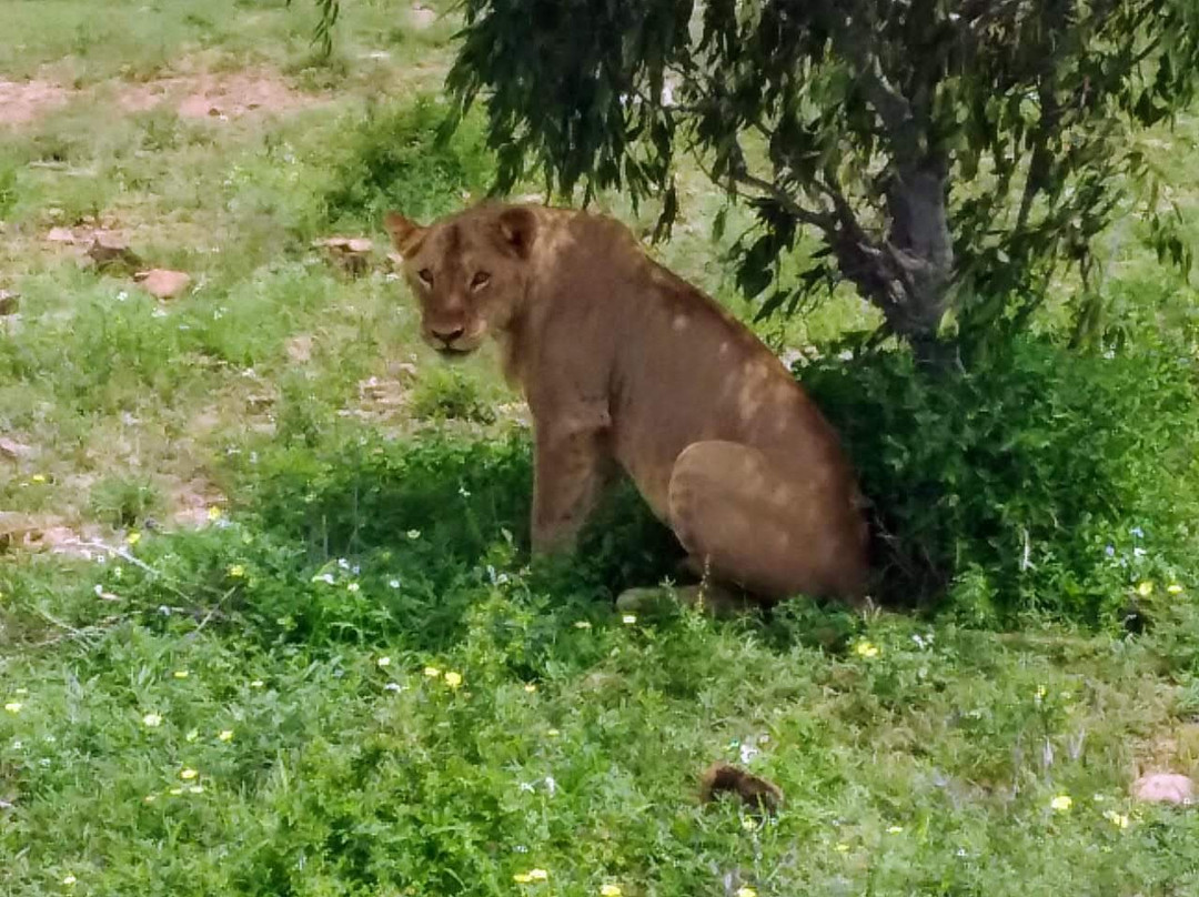 Safari and Excursions-瓦塔木必去景点