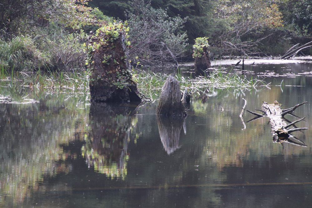 Canyon Drive Park-林肯城必去景点