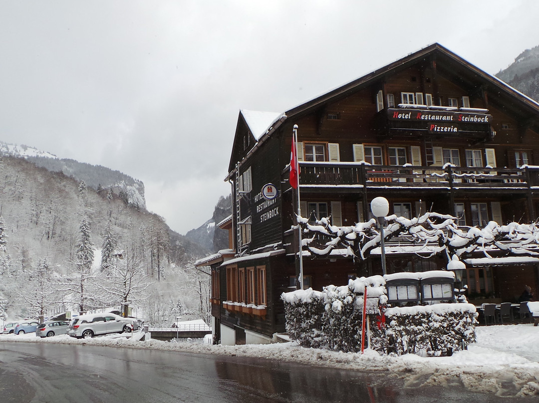 Hotel Steinbock主图