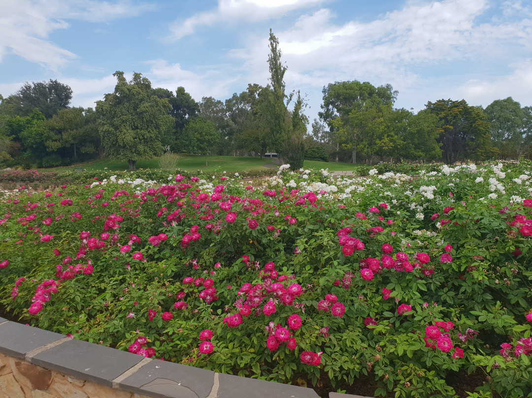 Veale Gardens景点图片