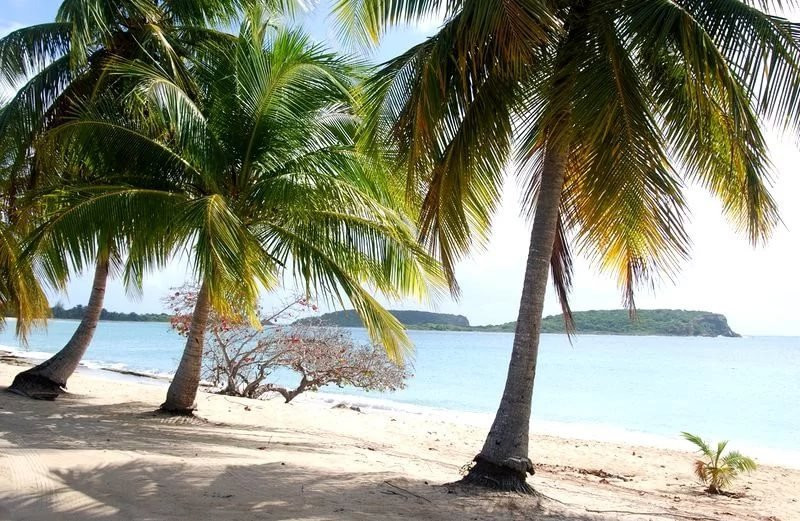 Acqua Blu Rasdhoo主图