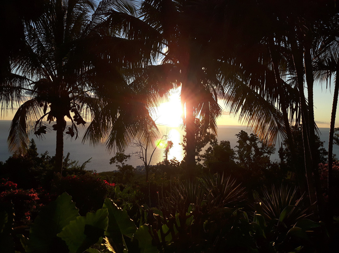 Villa Rose Caraibes主图