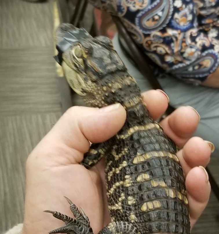 Okefenokee Heritage Center-Waycross必去景点