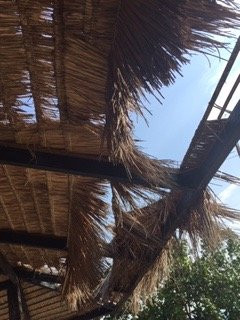 玛岛奥考白沙滩假日公园主图