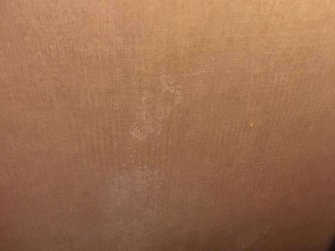 Quality Inn & Suites P.E. Trudeau Airport-Montreal主图