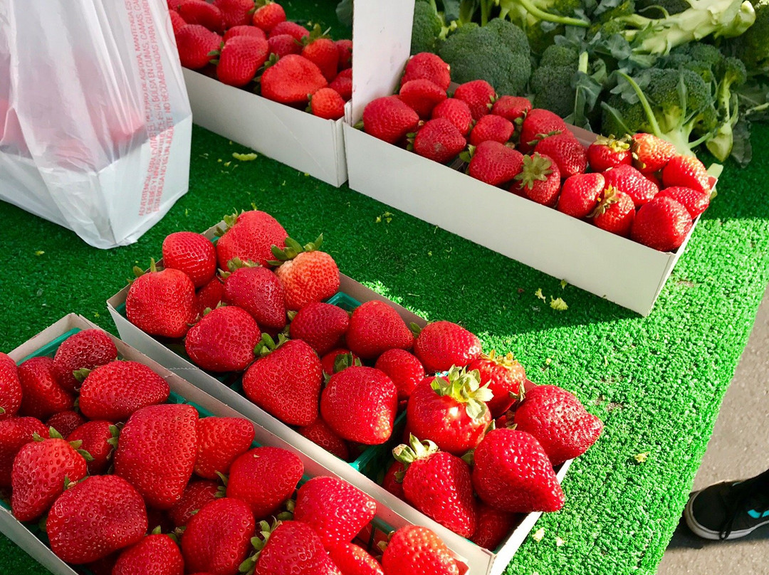 Laguna Niguel Farmer’s Market-拉古纳尼格必去景点