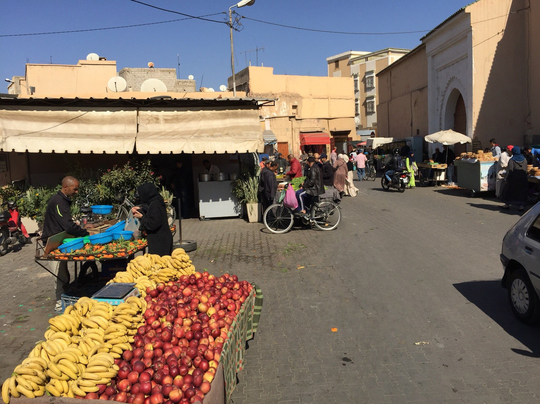 Taroudant Caleche Carriage Tours-塔鲁丹特必去景点