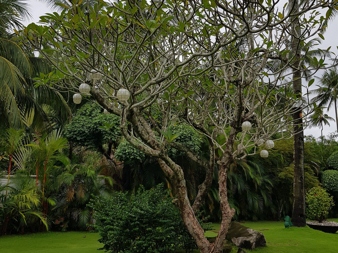 爱特斯菲尔Spa度假酒店主图