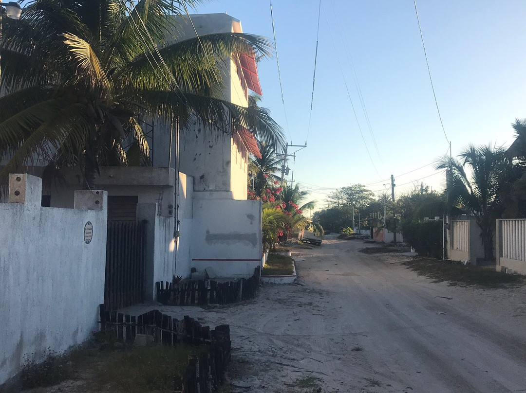 Bears En La Playa主图