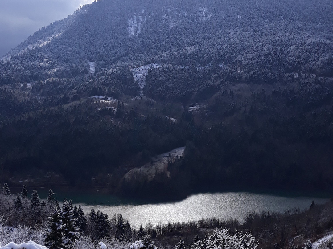 Guesthouse Paralimnia主图