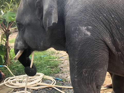 Koh Samui Tour & Transportation-查汶海滩必去景点