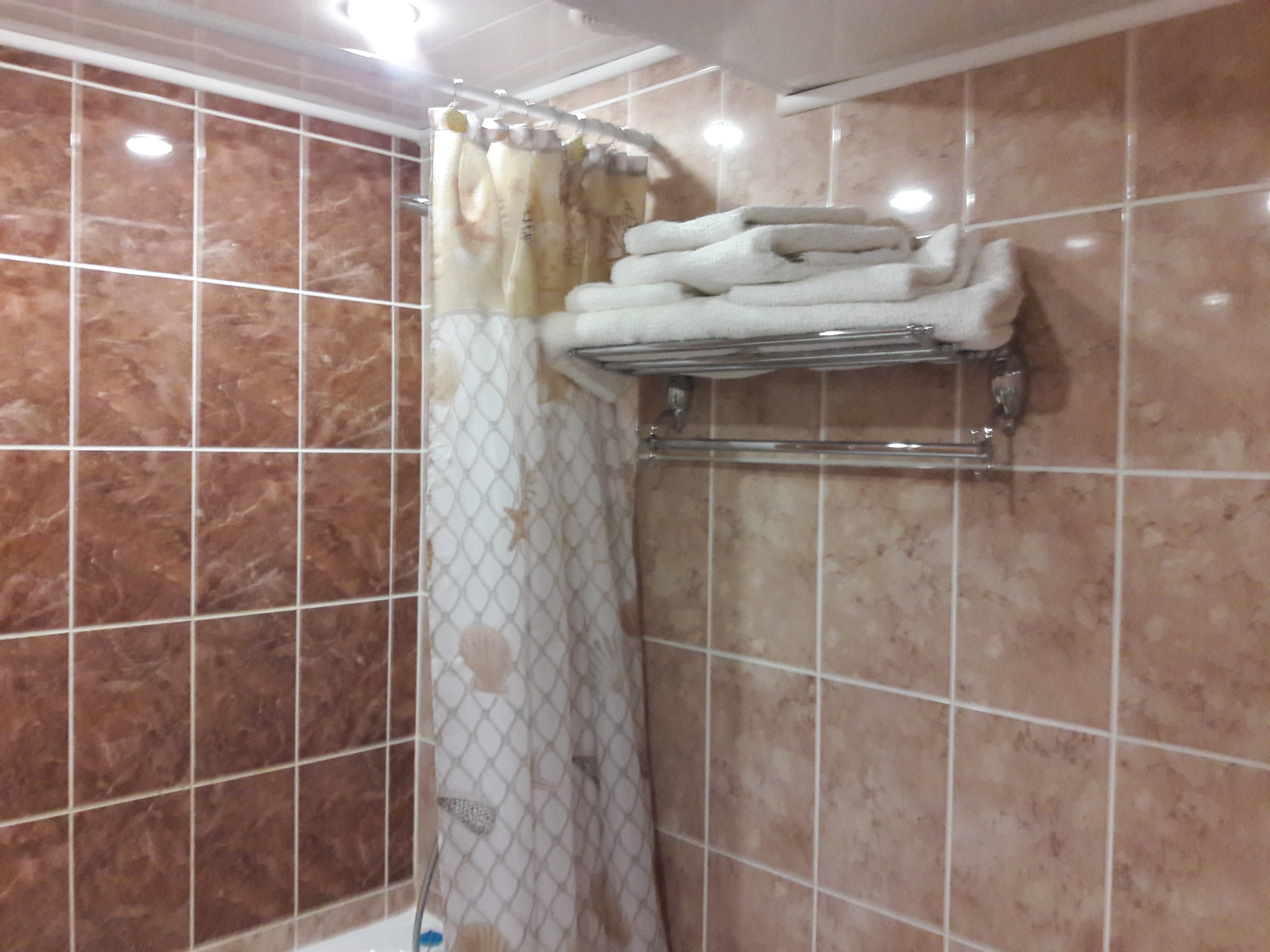 Guest House on Gruzinskaya-浴室