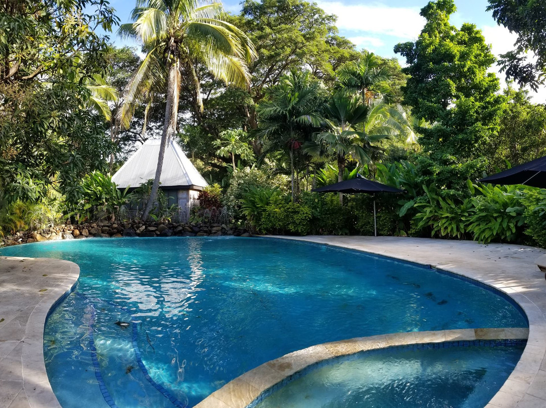 The Fiji Orchid主图