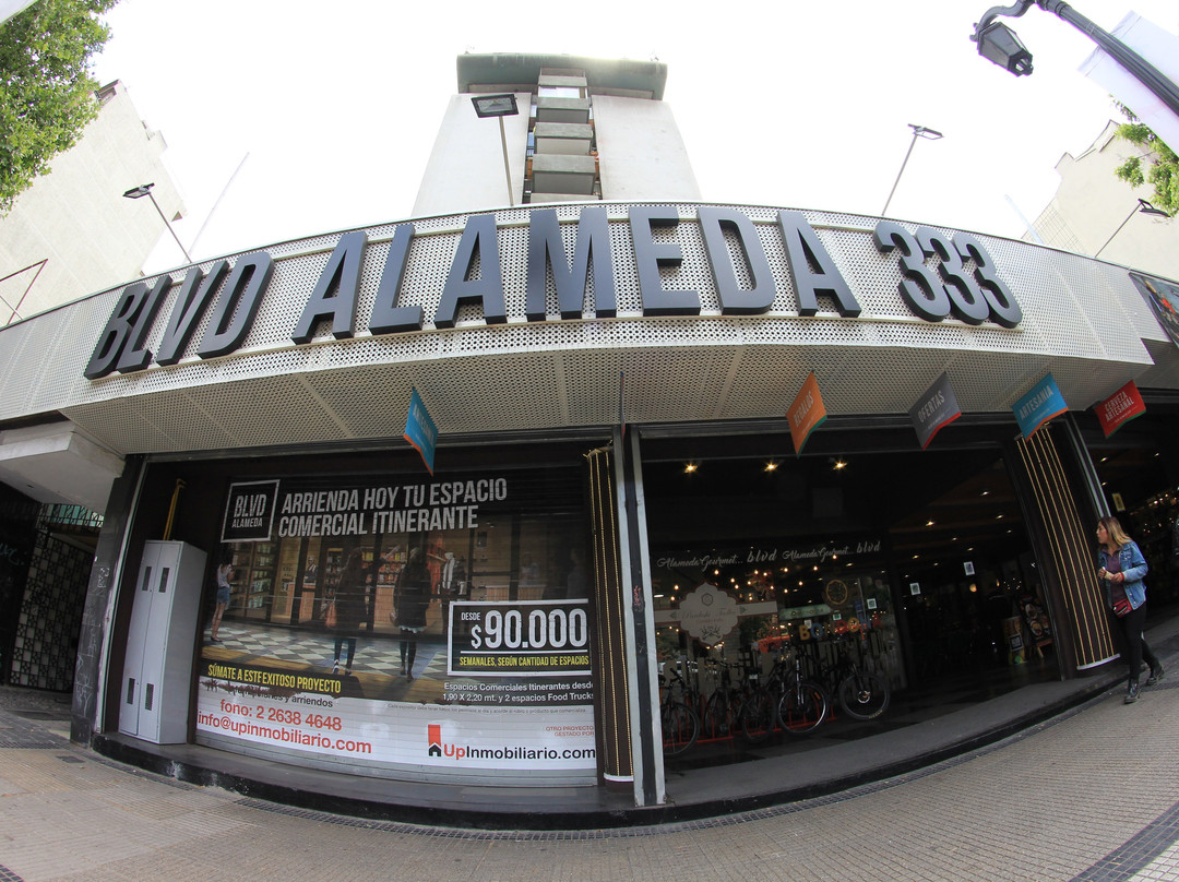 Boulevard Alameda 333景点图片