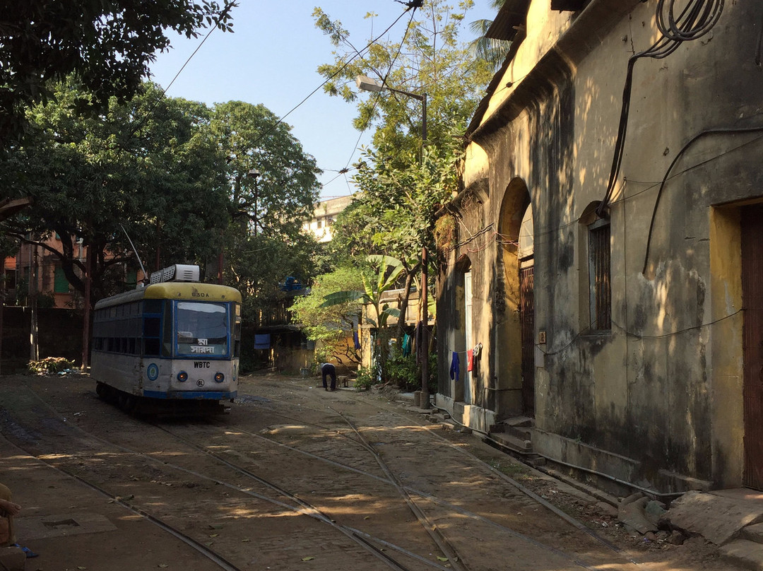 Kolkata Heritage Tram Tours景点图片
