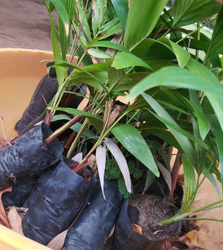 Pousada Do Forte主图