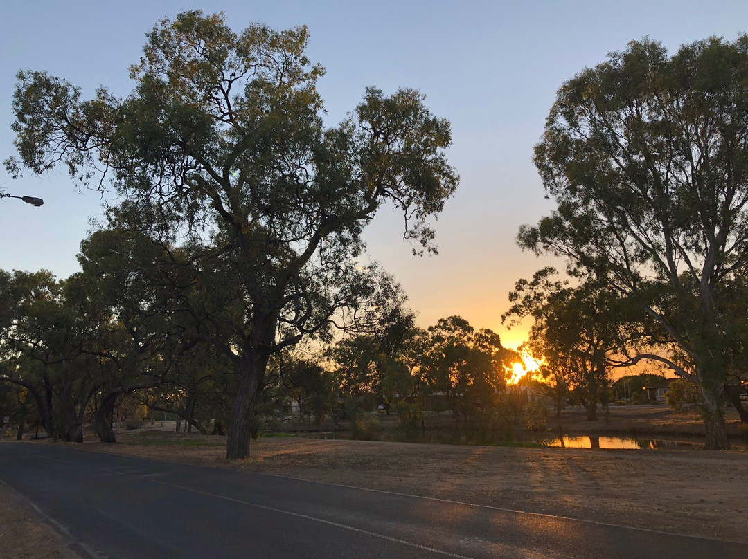 Horsham Weir to Baillie Street River Walk景点图片