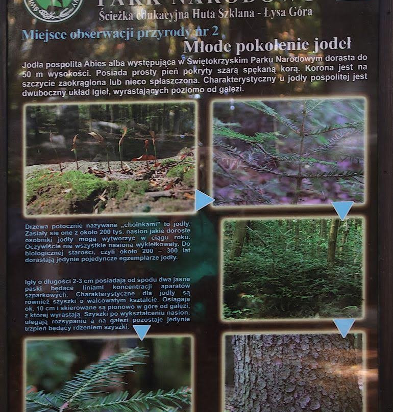Sciezka przyrodnicza Huta Szklana – Swiety Krzyz-Swiety Krzyz必去景点