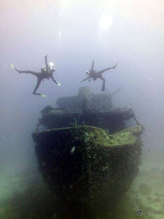 Central Dive Curacao-威廉斯塔德必去景点