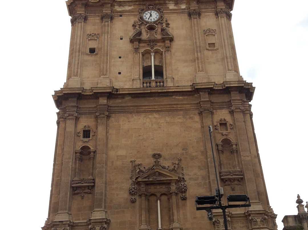 Cathedral de Santa Maria景点图片