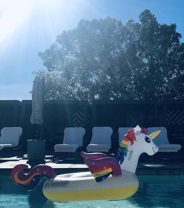 棕榈泉梦露酒店主图