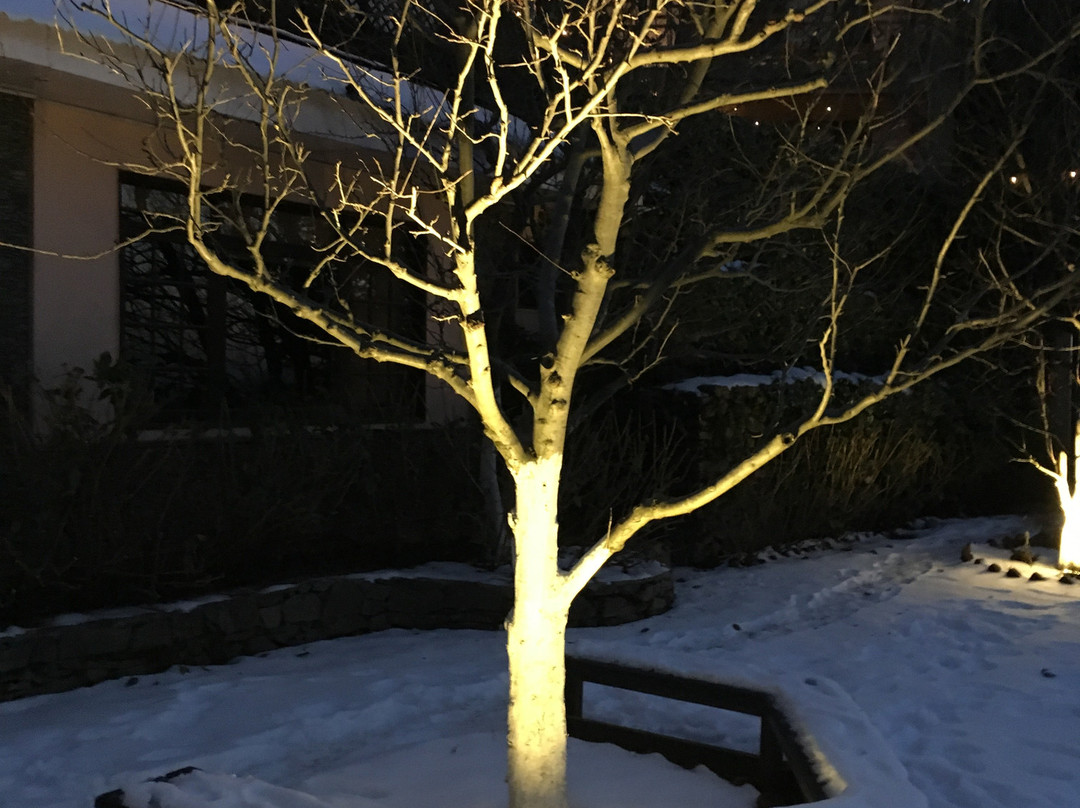 默哈苏之家主图