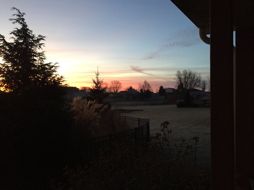 Premier Carriage House Cottages主图