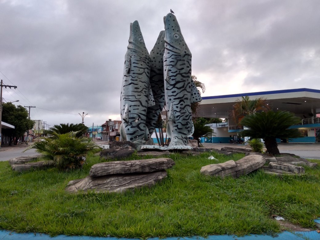 Peixe Cachara Monument景点图片