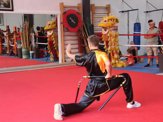 Accademia Arti Marziali Sovico