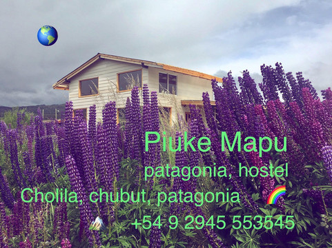 Piuke Mapu Hostel y Cabana