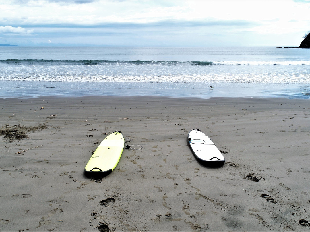 Hotel Palma De Oro主图