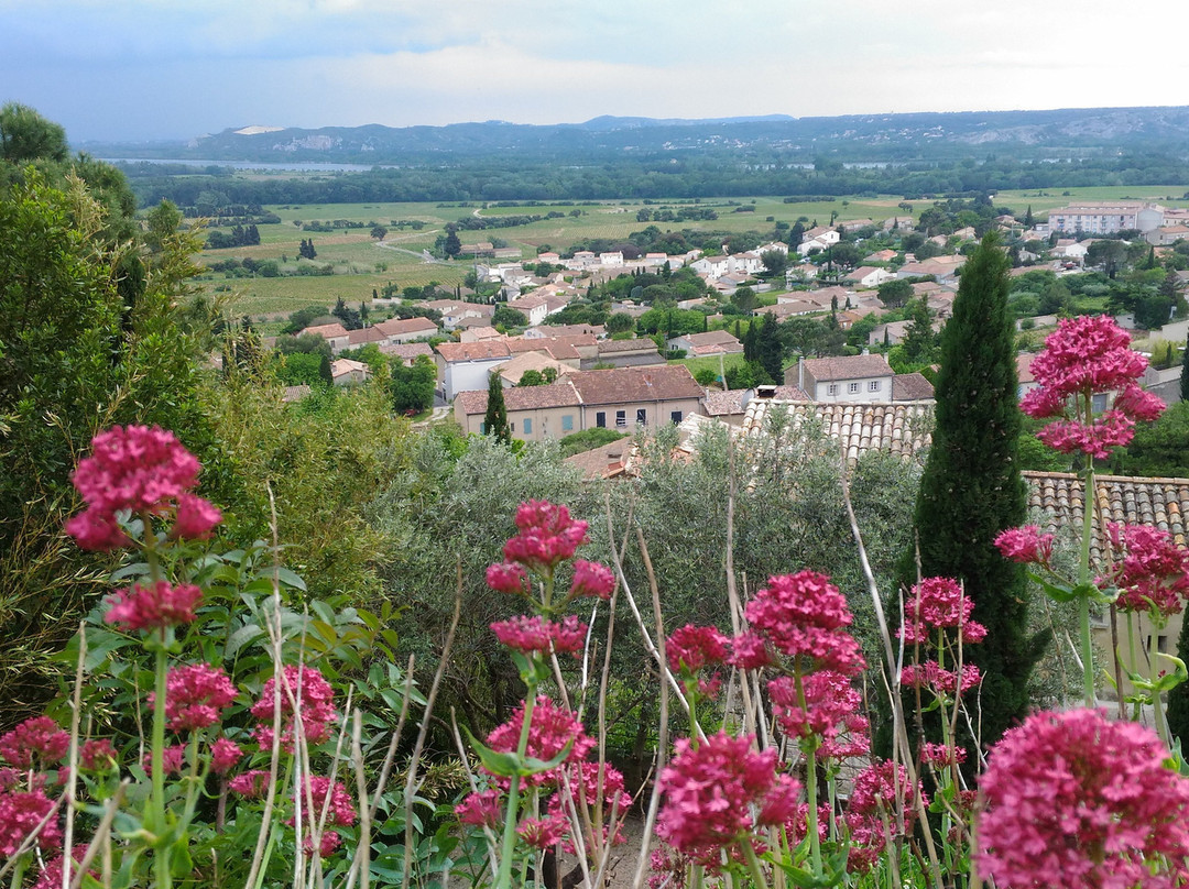 Office de Tourisme de Châteauneuf-du-Pape景点图片