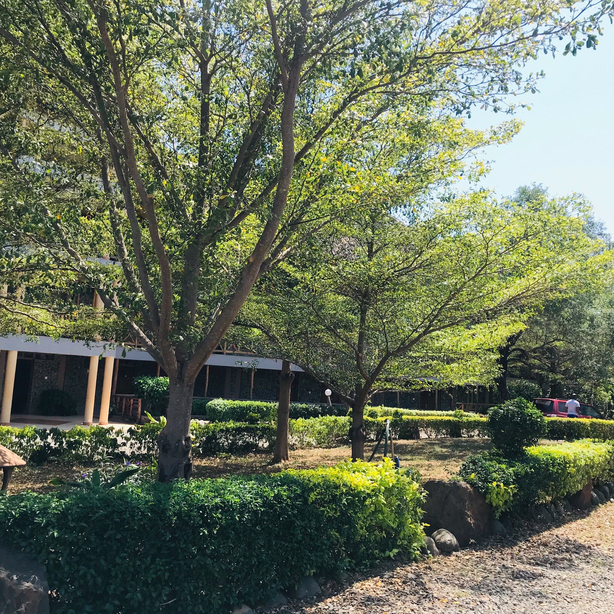 Soi Safari Lodge-官方