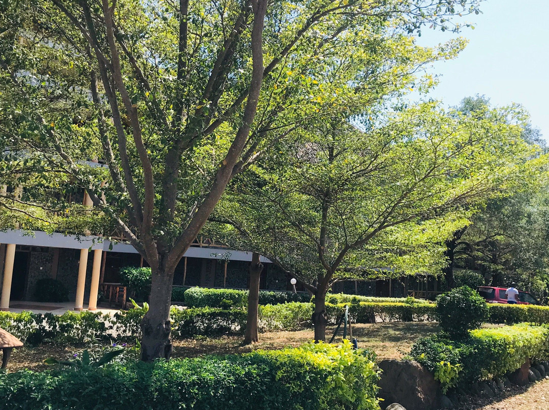 Soi Safari Lodge主图