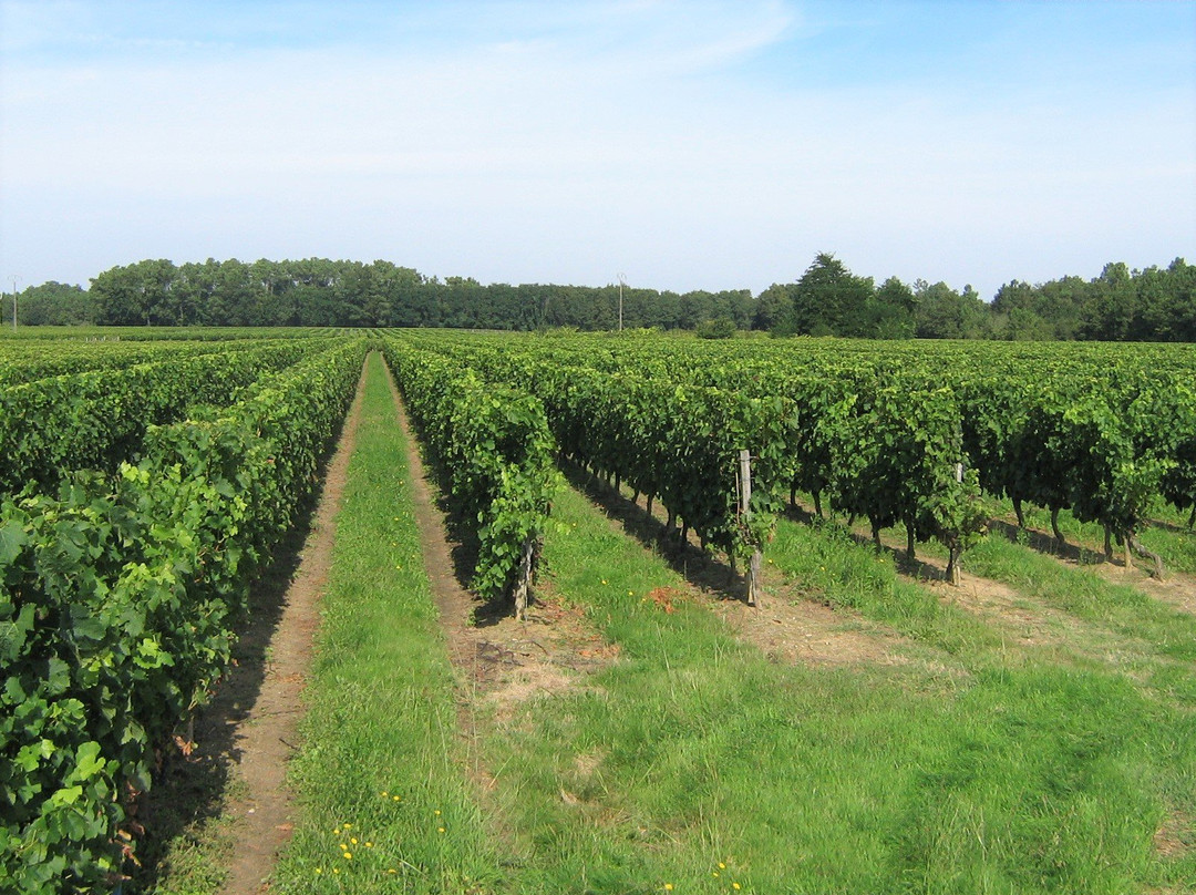 La Halte de Segondignac主图